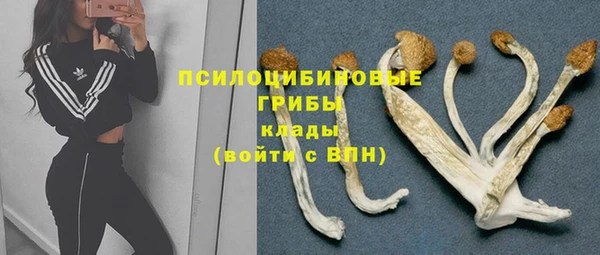 мяу мяу мука Богородицк