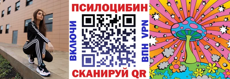 Псилоцибиновые грибы MAGIC MUSHROOMS  цены наркотик  Томск 